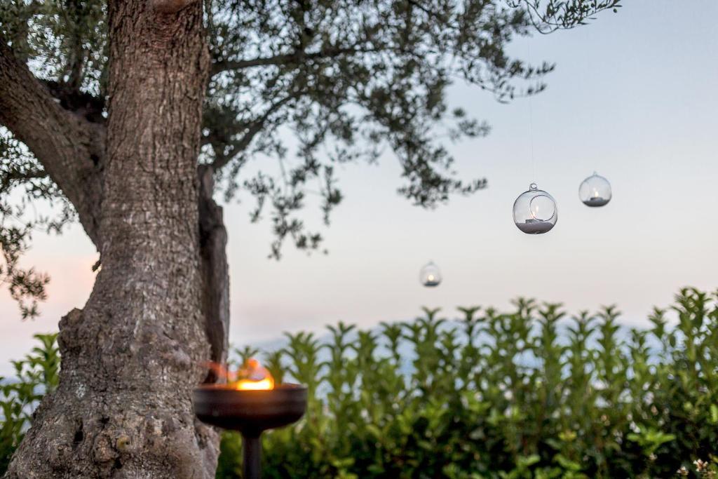 Casale Santa Maria Country House Mosciano Sant'Angelo Exterior photo